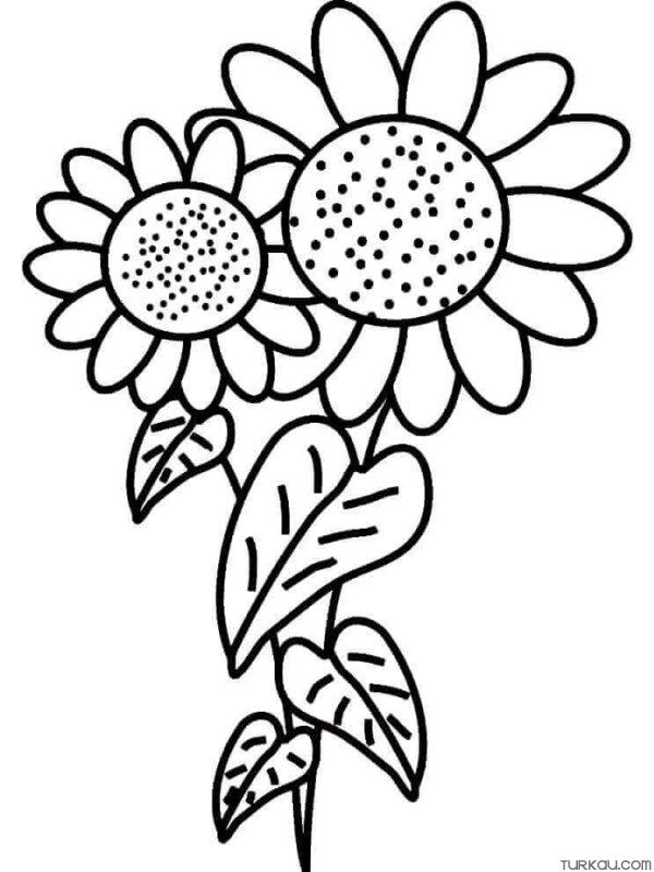 80 Printable Sunflower Coloring Pages 41