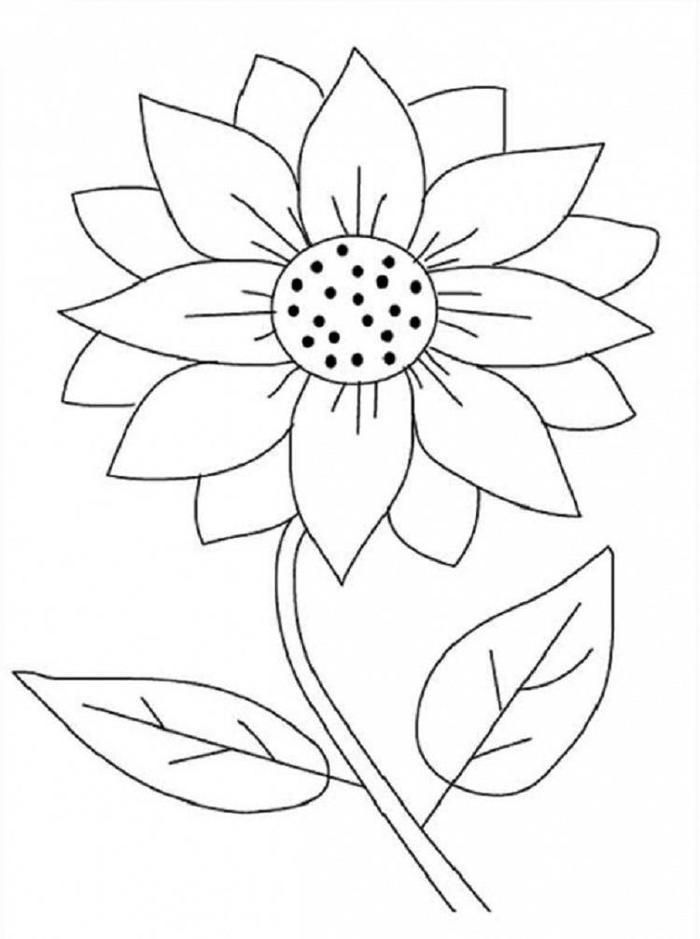 80 Printable Sunflower Coloring Pages 42