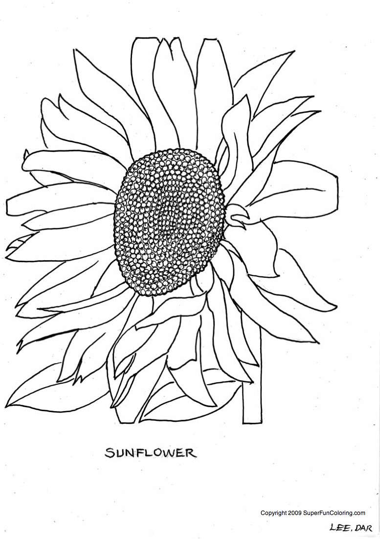 80 Printable Sunflower Coloring Pages 43