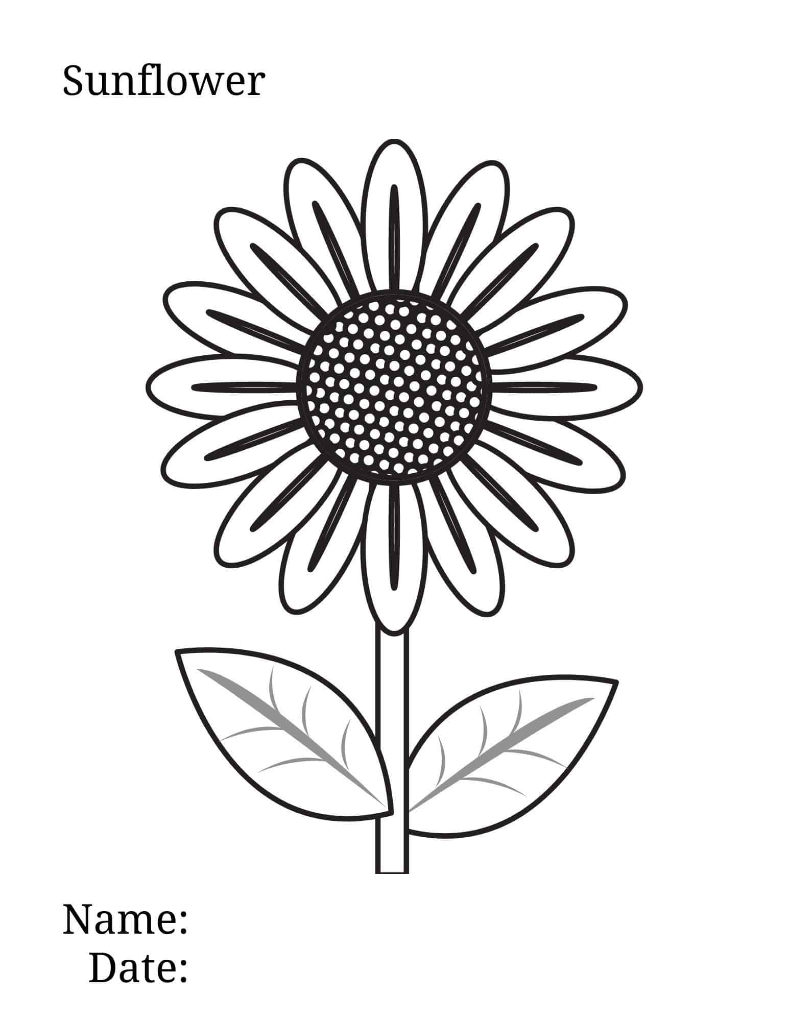 80 Printable Sunflower Coloring Pages 48