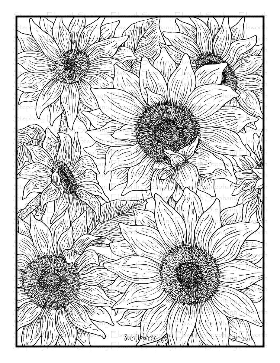 80 Printable Sunflower Coloring Pages 49