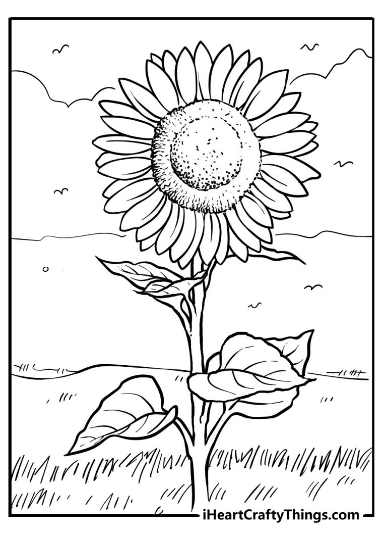 80 Printable Sunflower Coloring Pages 5