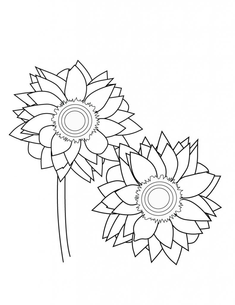 80 Printable Sunflower Coloring Pages 52