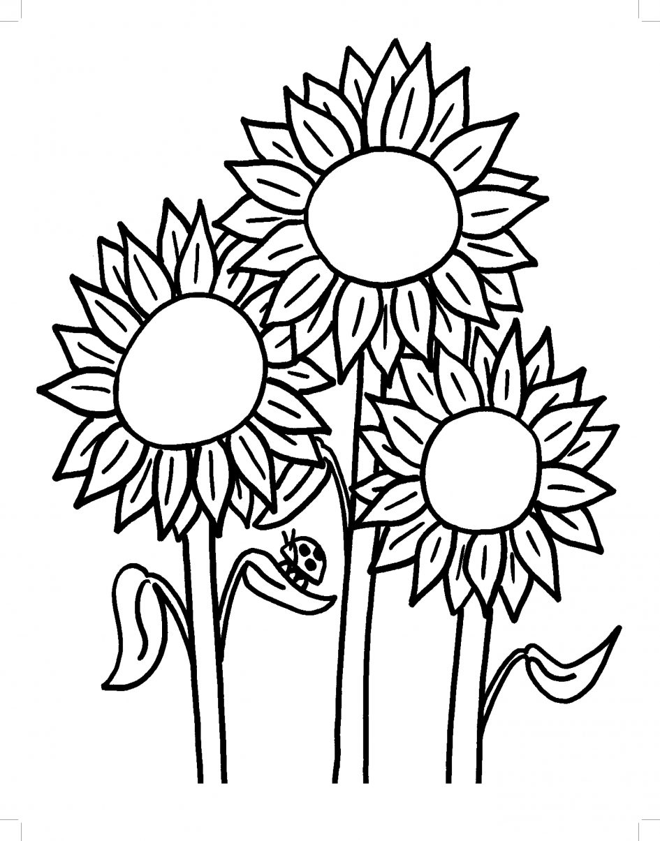 80 Printable Sunflower Coloring Pages 53