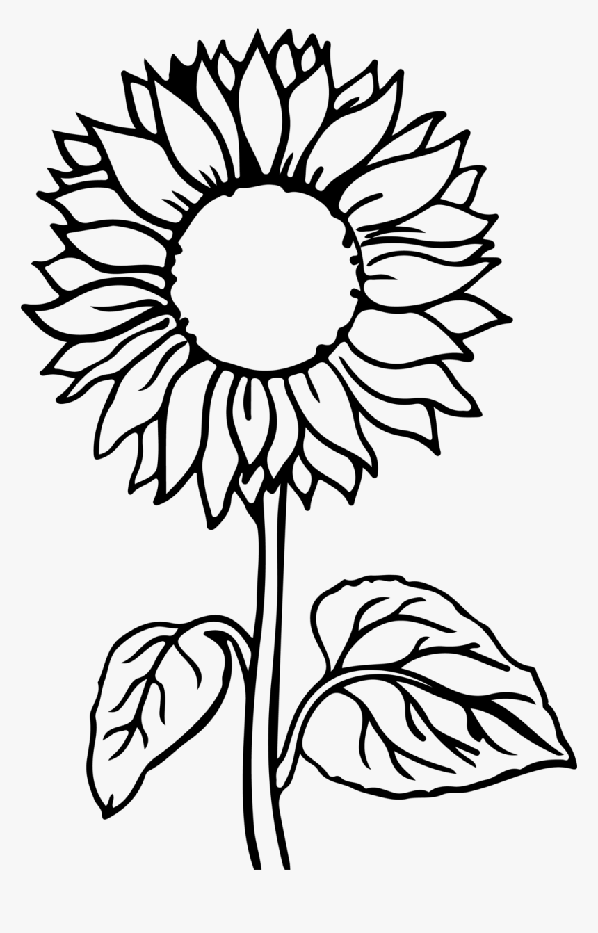 80 Printable Sunflower Coloring Pages 54