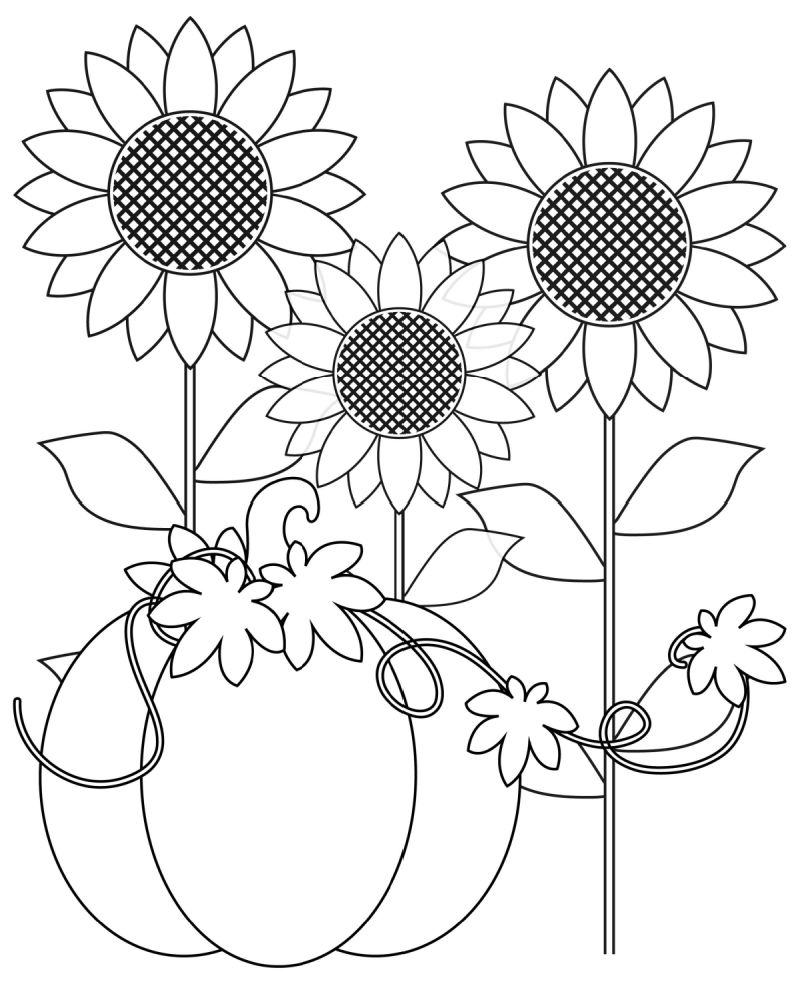 80 Printable Sunflower Coloring Pages 58