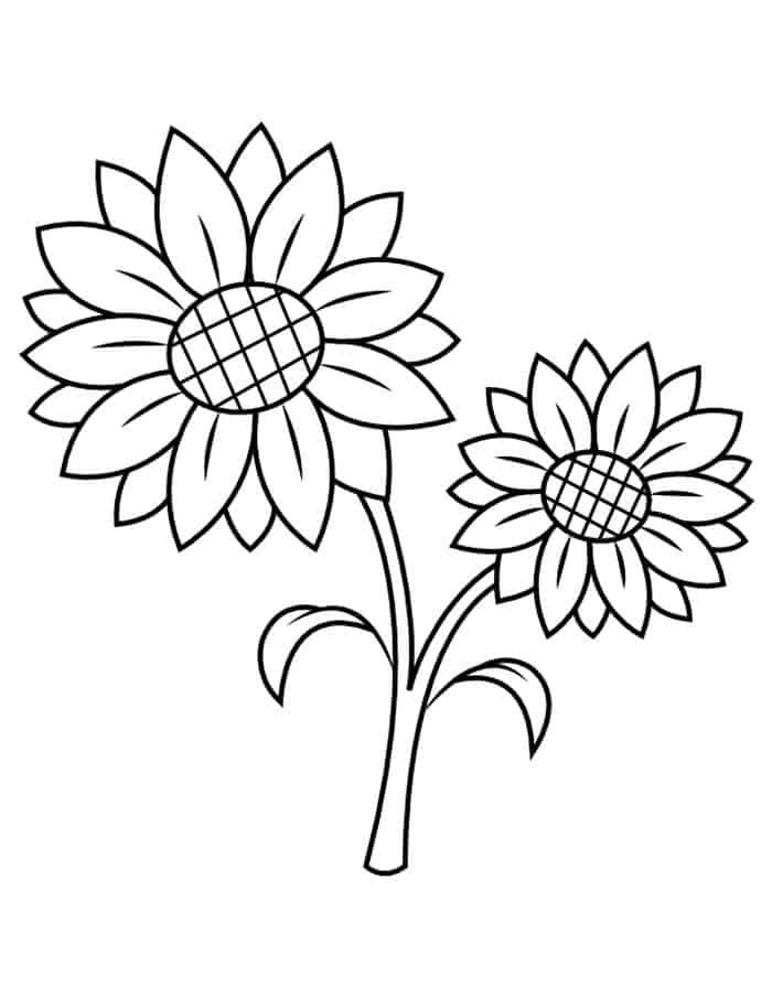 80 Printable Sunflower Coloring Pages 6