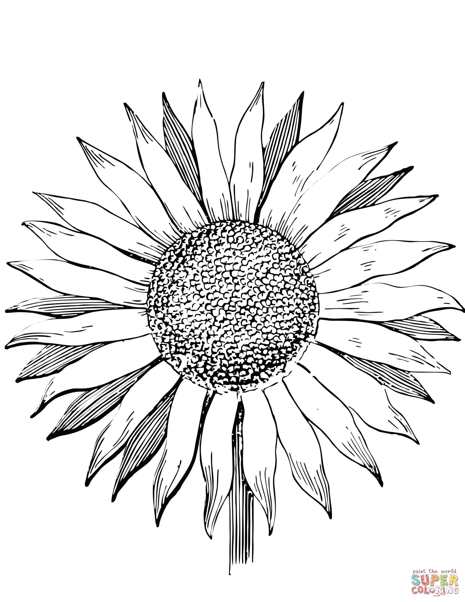 80 Printable Sunflower Coloring Pages 60