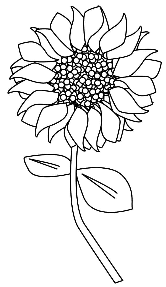 80 Printable Sunflower Coloring Pages 61