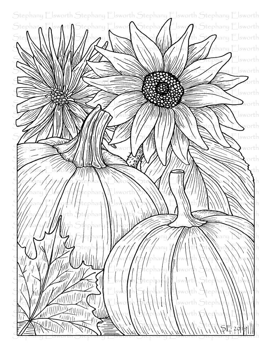 80 Printable Sunflower Coloring Pages 62