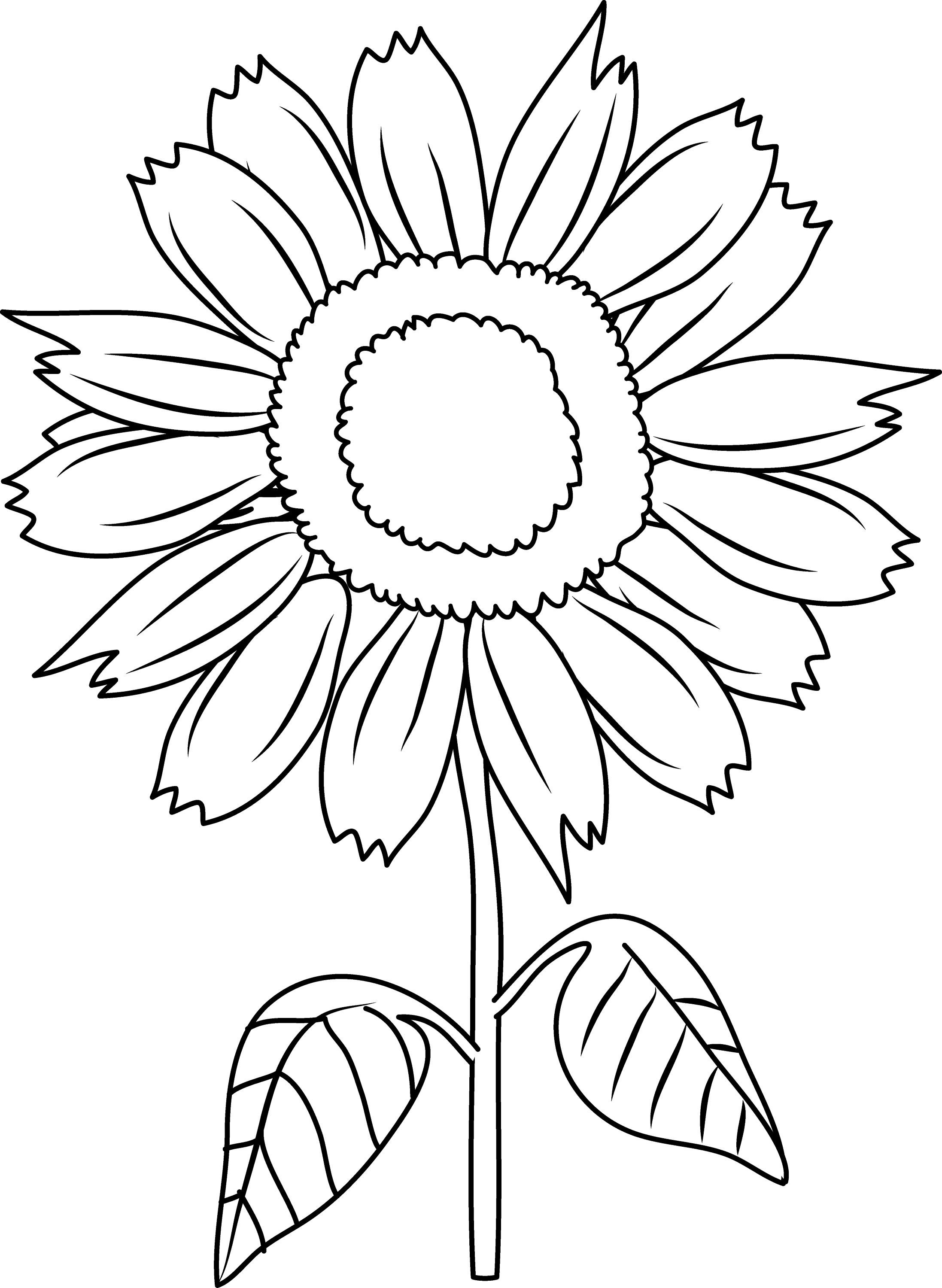 80 Printable Sunflower Coloring Pages 64