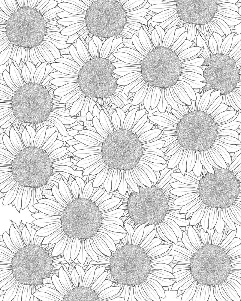 80 Printable Sunflower Coloring Pages 70