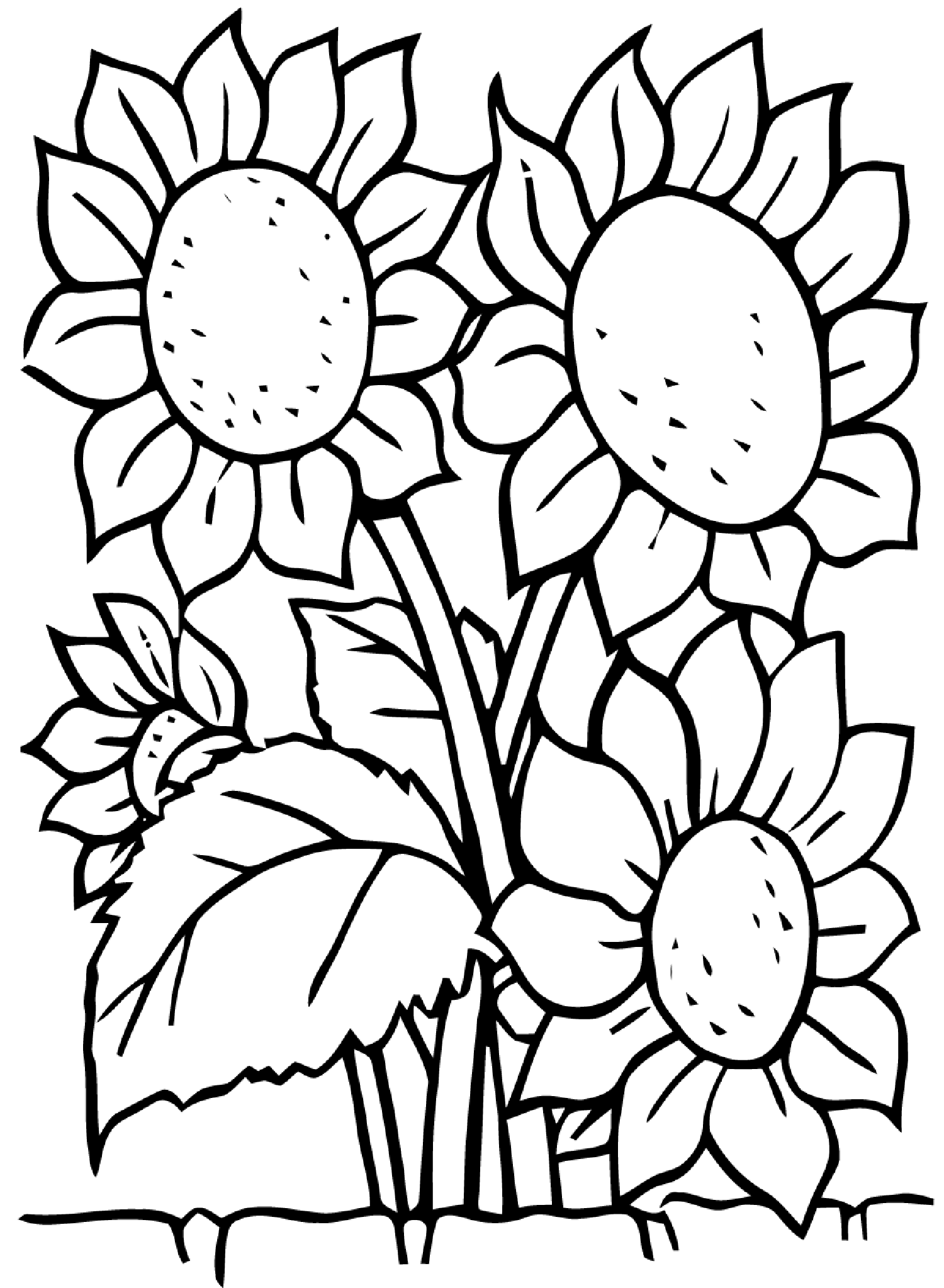 80 Printable Sunflower Coloring Pages 78