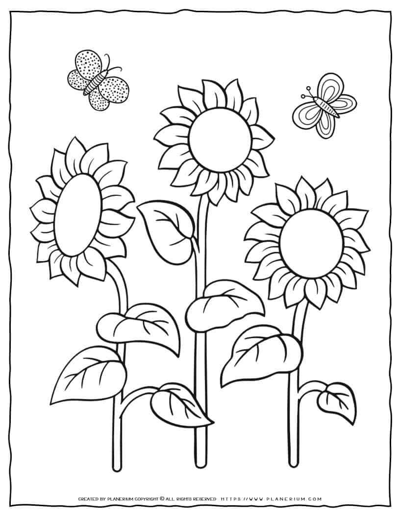 80 Printable Sunflower Coloring Pages 8