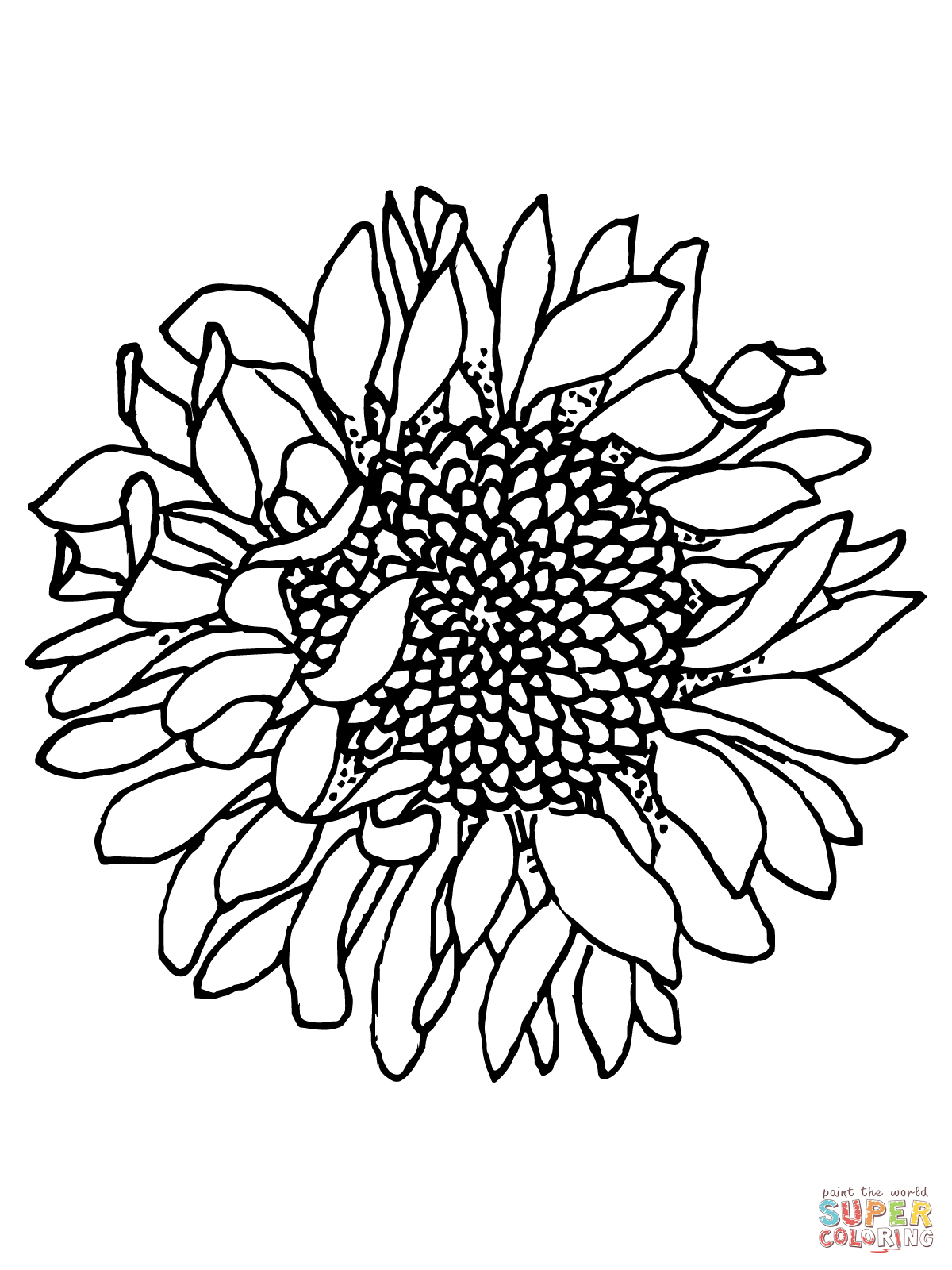 80 Printable Sunflower Coloring Pages 9