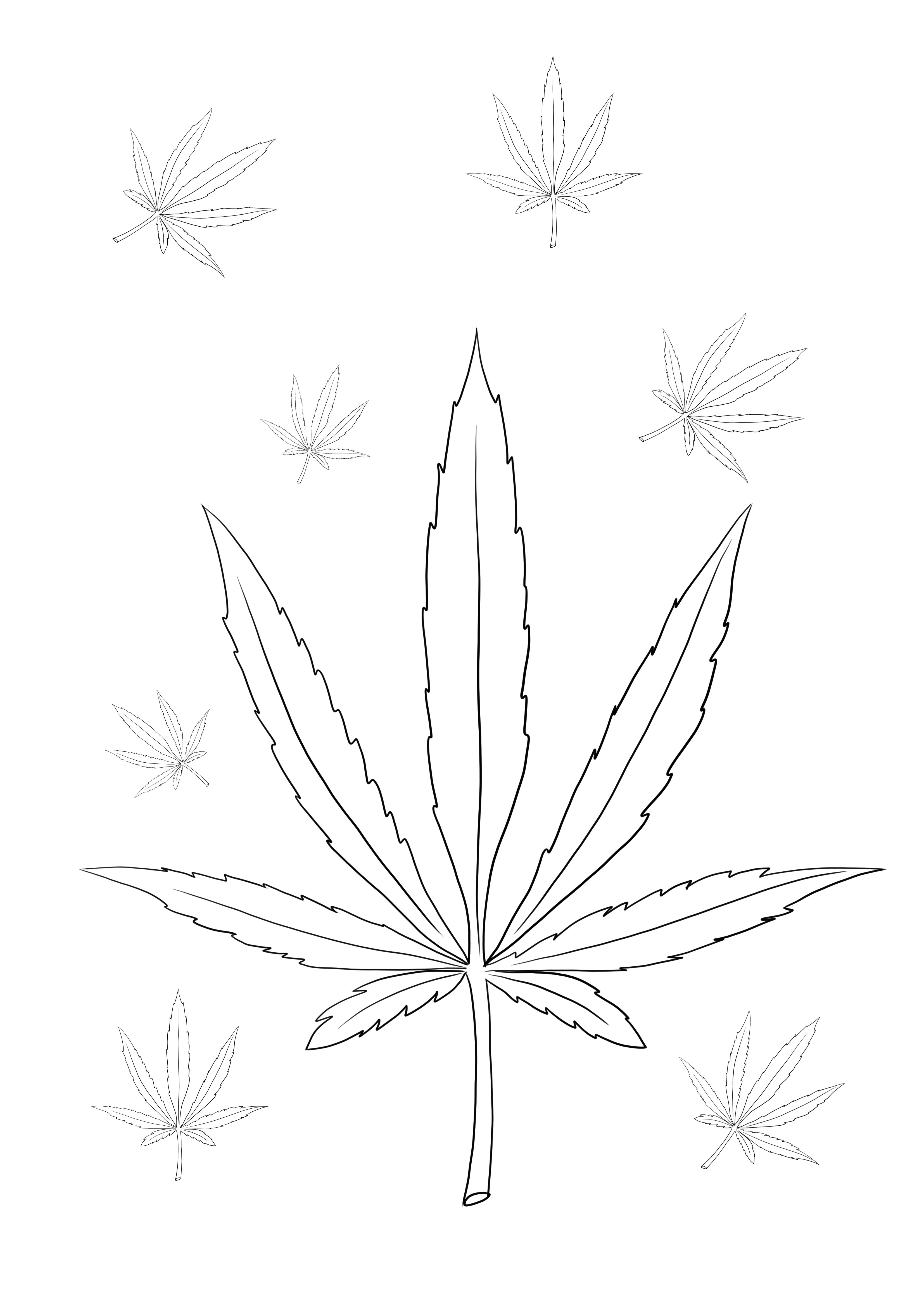 80 Printable Weed Coloring Book 22