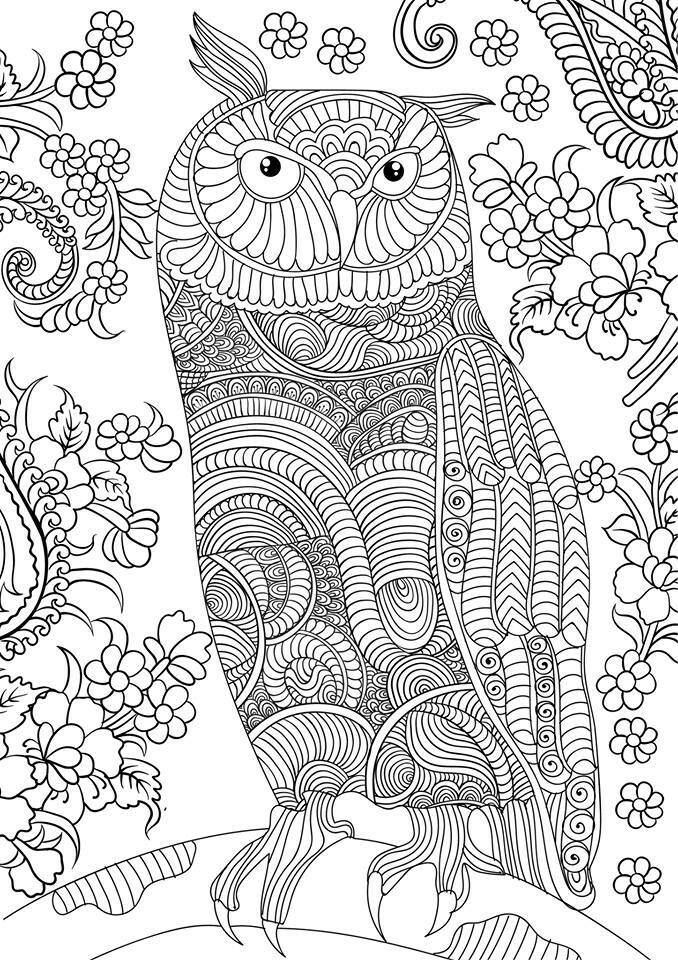 90 Adult Coloring Books For Men 23