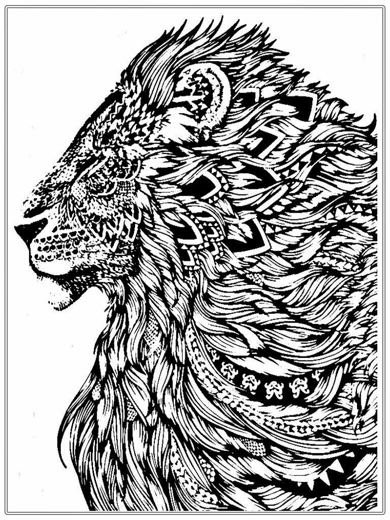 90 Adult Coloring Books For Men 77