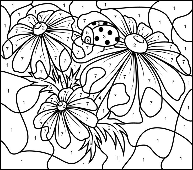 90 Adult Coloring Books With Numbers 10