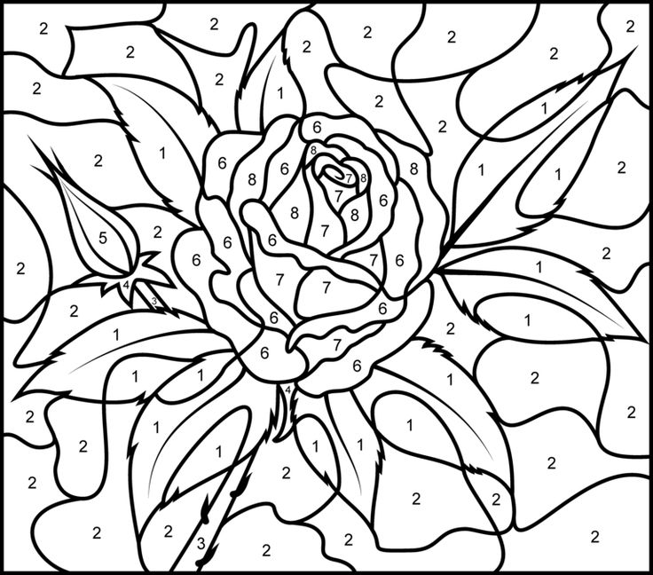 90 Adult Coloring Books With Numbers 25