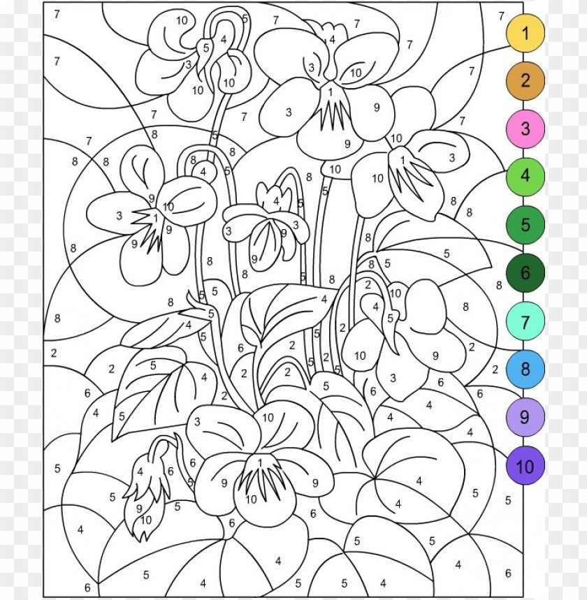 90 Adult Coloring Books With Numbers 36