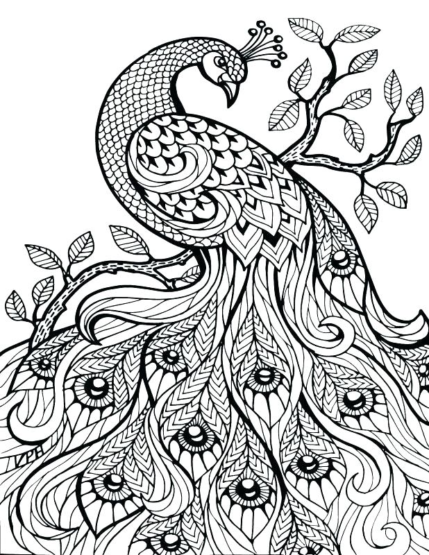 90 Adult Coloring Books With Numbers 42