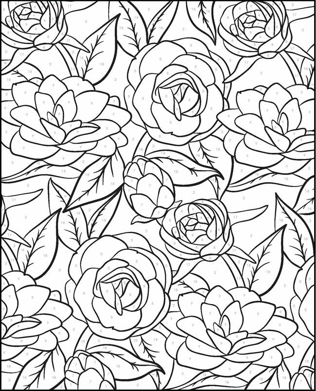 90 Adult Coloring Books With Numbers 45