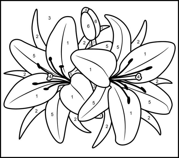 90 Adult Coloring Books With Numbers 60