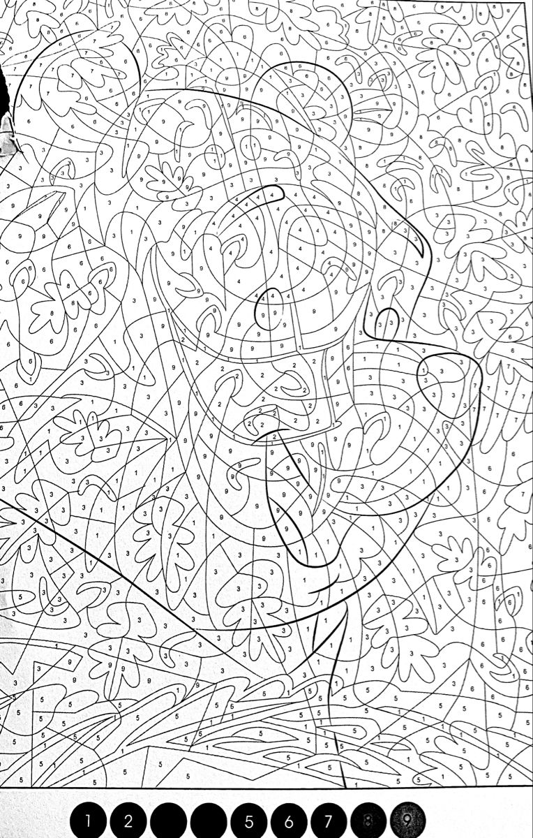 90 Adult Coloring Books With Numbers 68