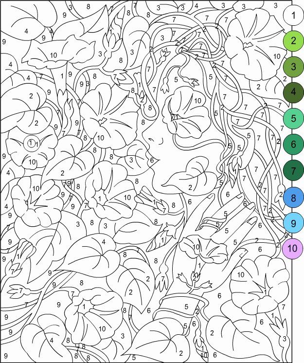 90 Adult Coloring Books With Numbers 70