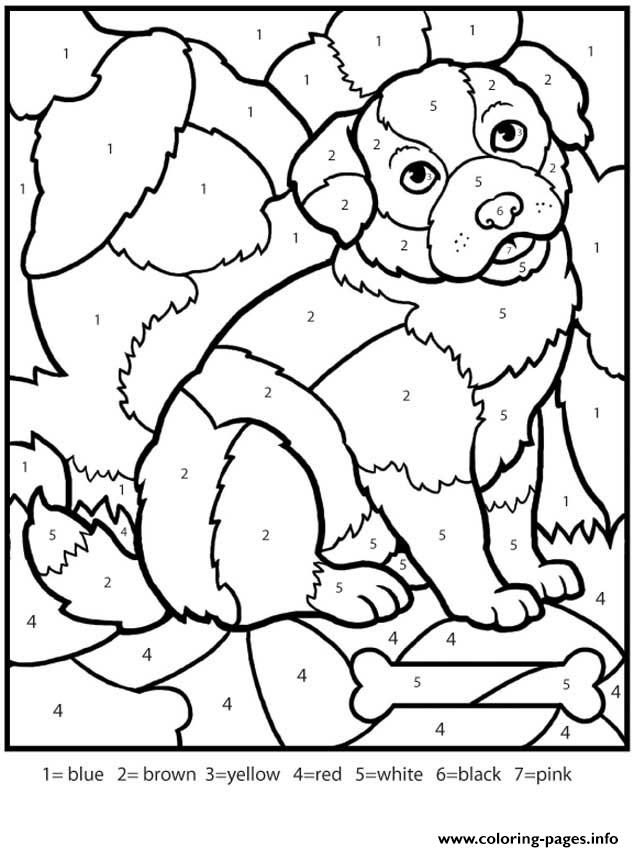 90 Adult Coloring Books With Numbers 80