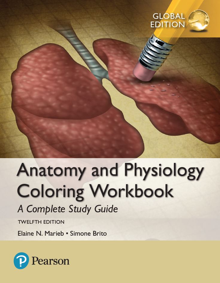 90 Printable Anatomy And Physiology Coloring Book 39