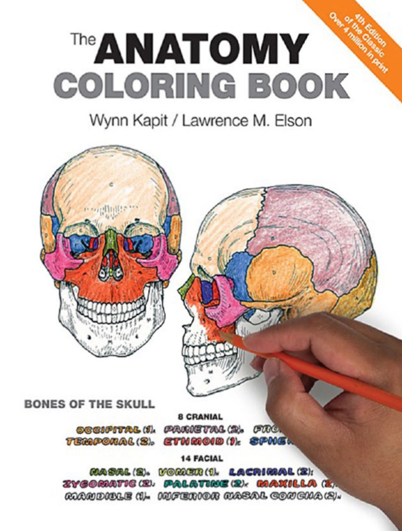 90 Printable Anatomy And Physiology Coloring Book 50