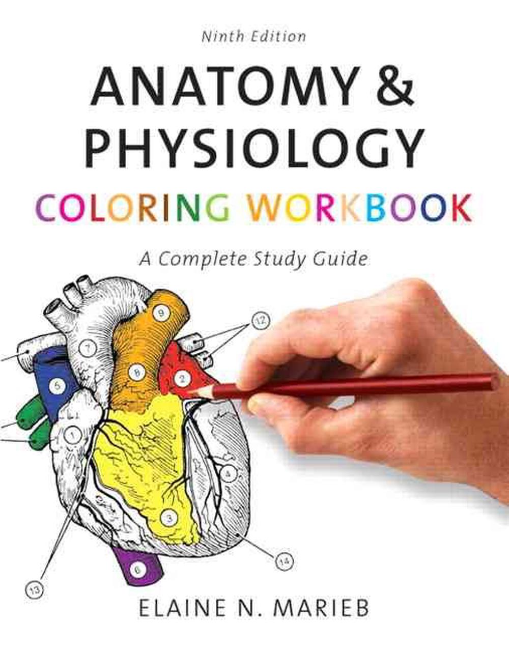 90 Printable Anatomy And Physiology Coloring Book 54