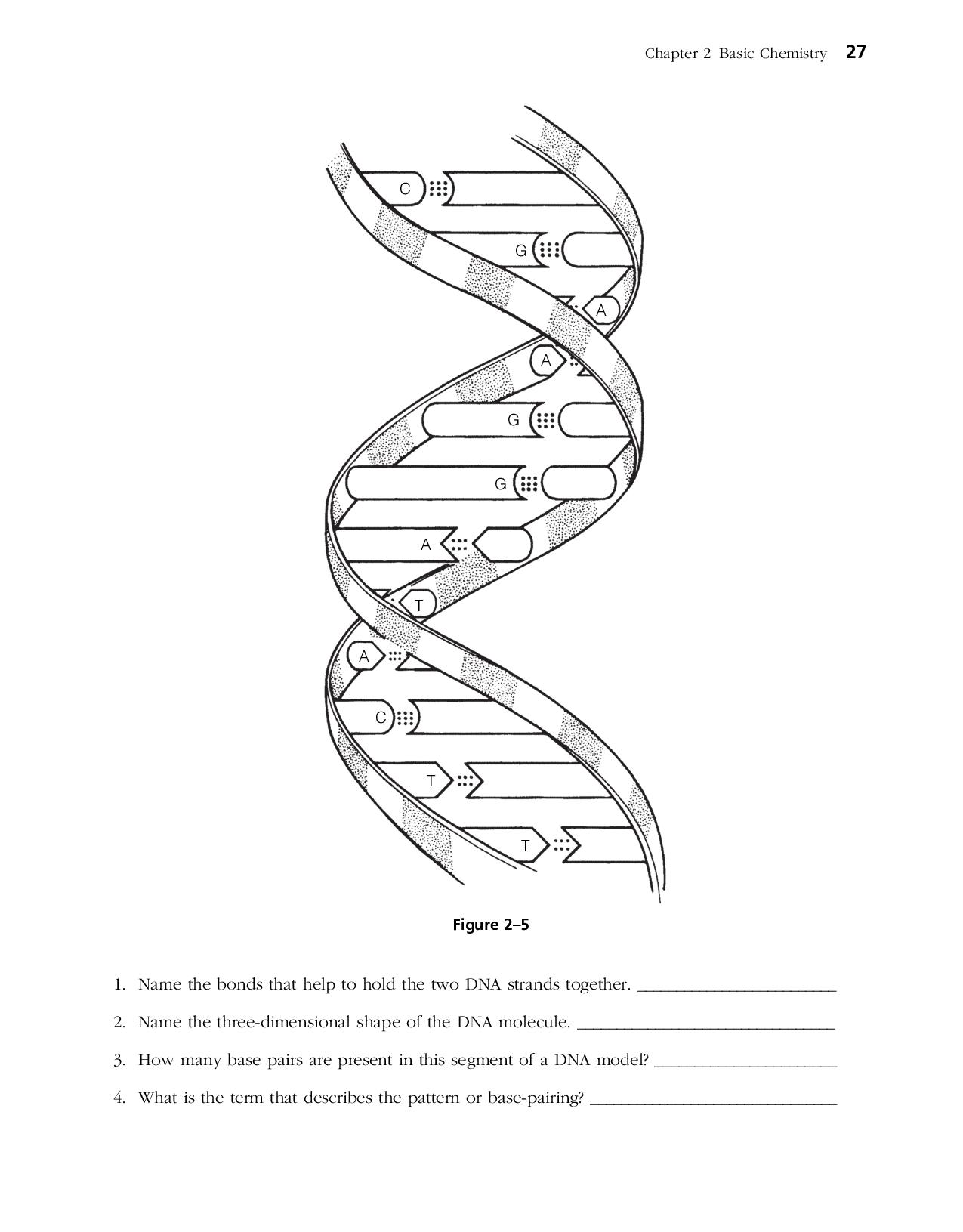 90 Printable Anatomy And Physiology Coloring Book 58