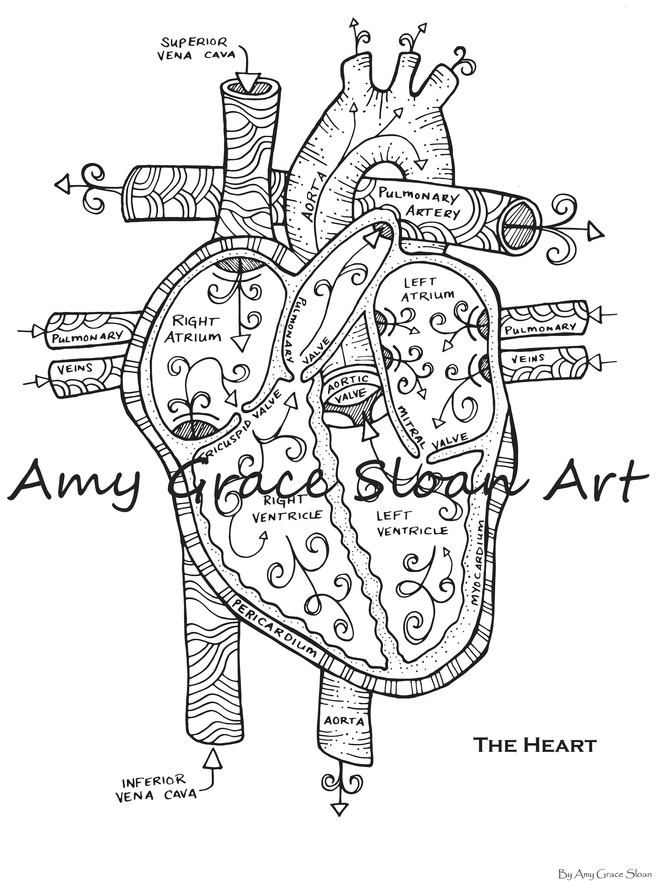 90 Printable Anatomy And Physiology Coloring Book 74