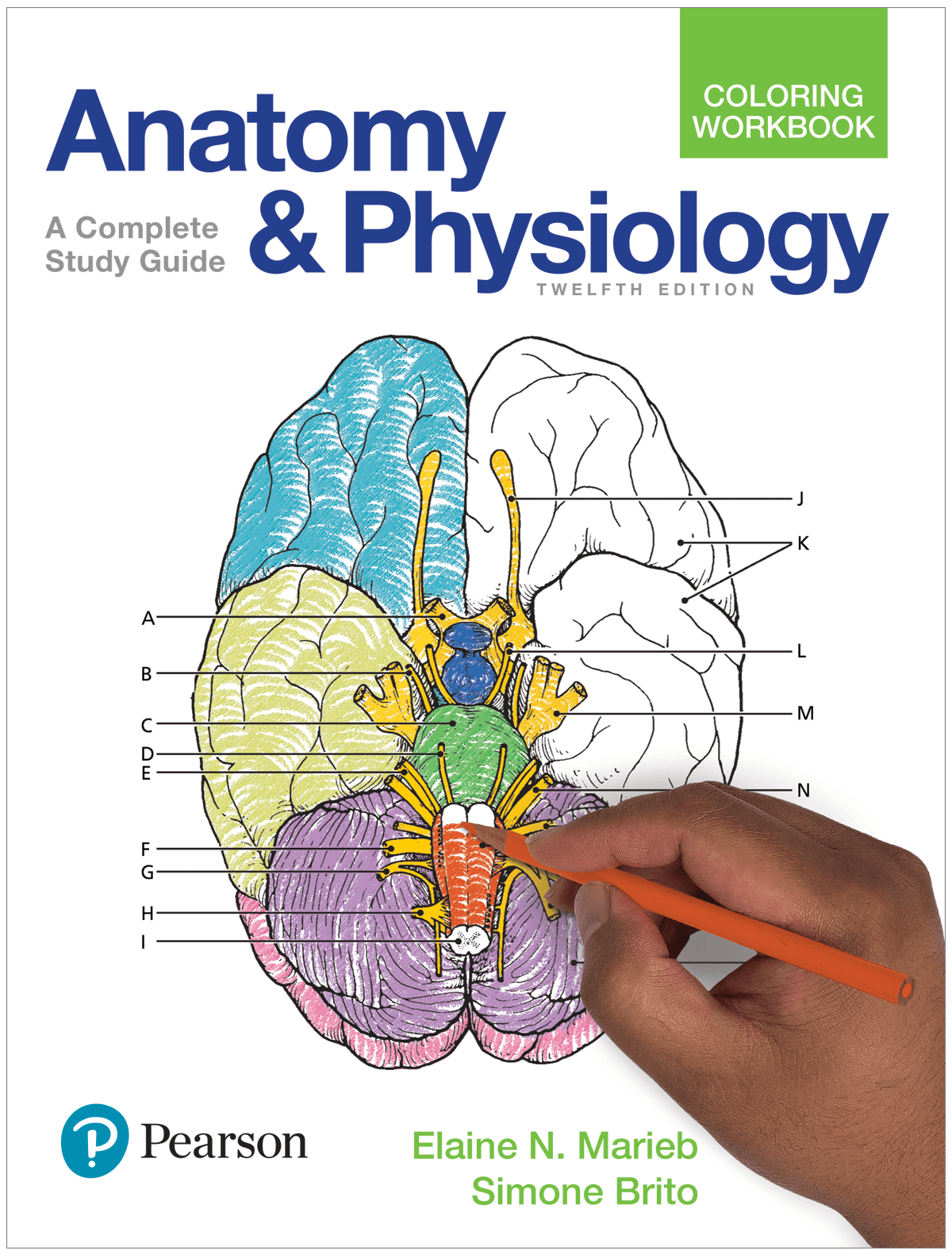 90 Printable Anatomy And Physiology Coloring Book 78