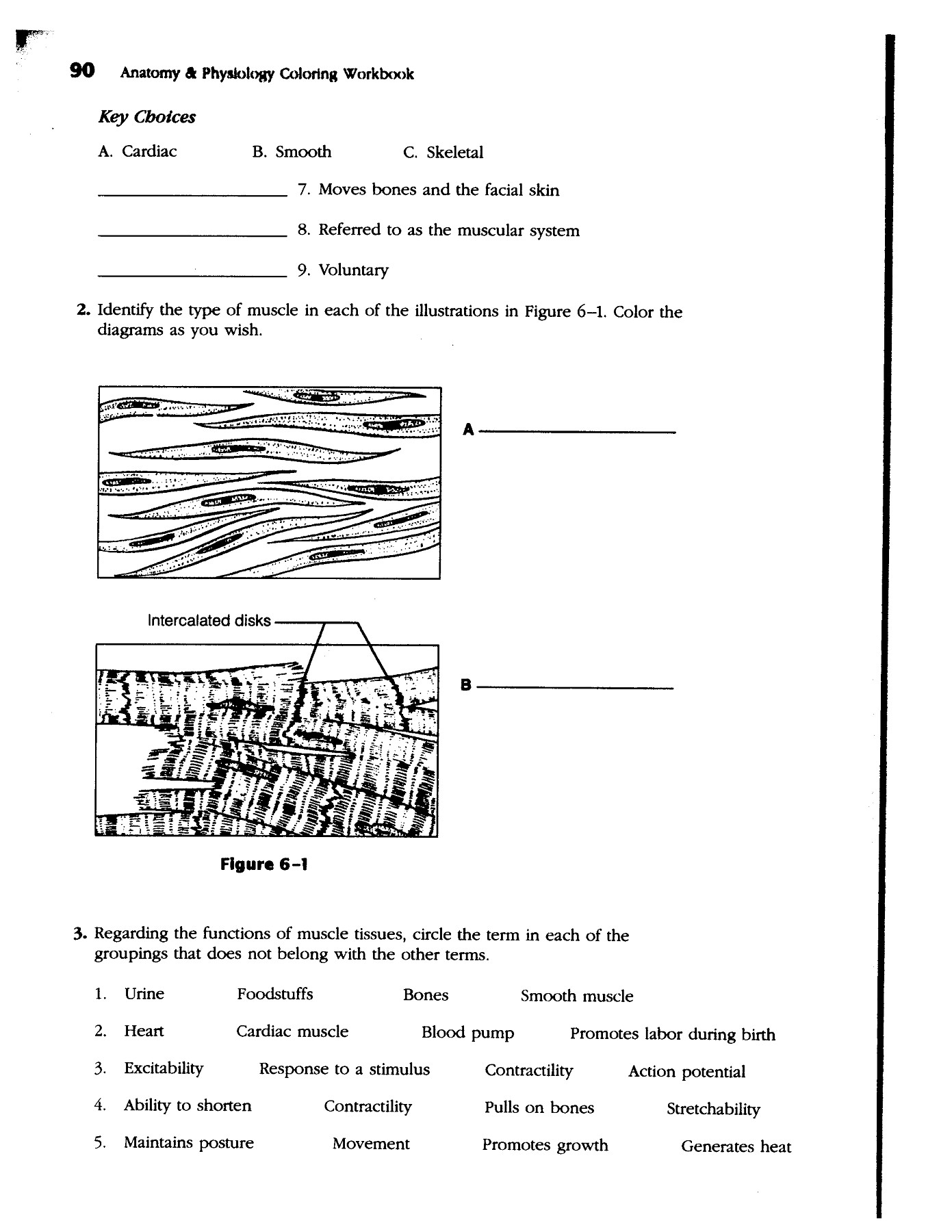 90 Printable Anatomy And Physiology Coloring Book 85