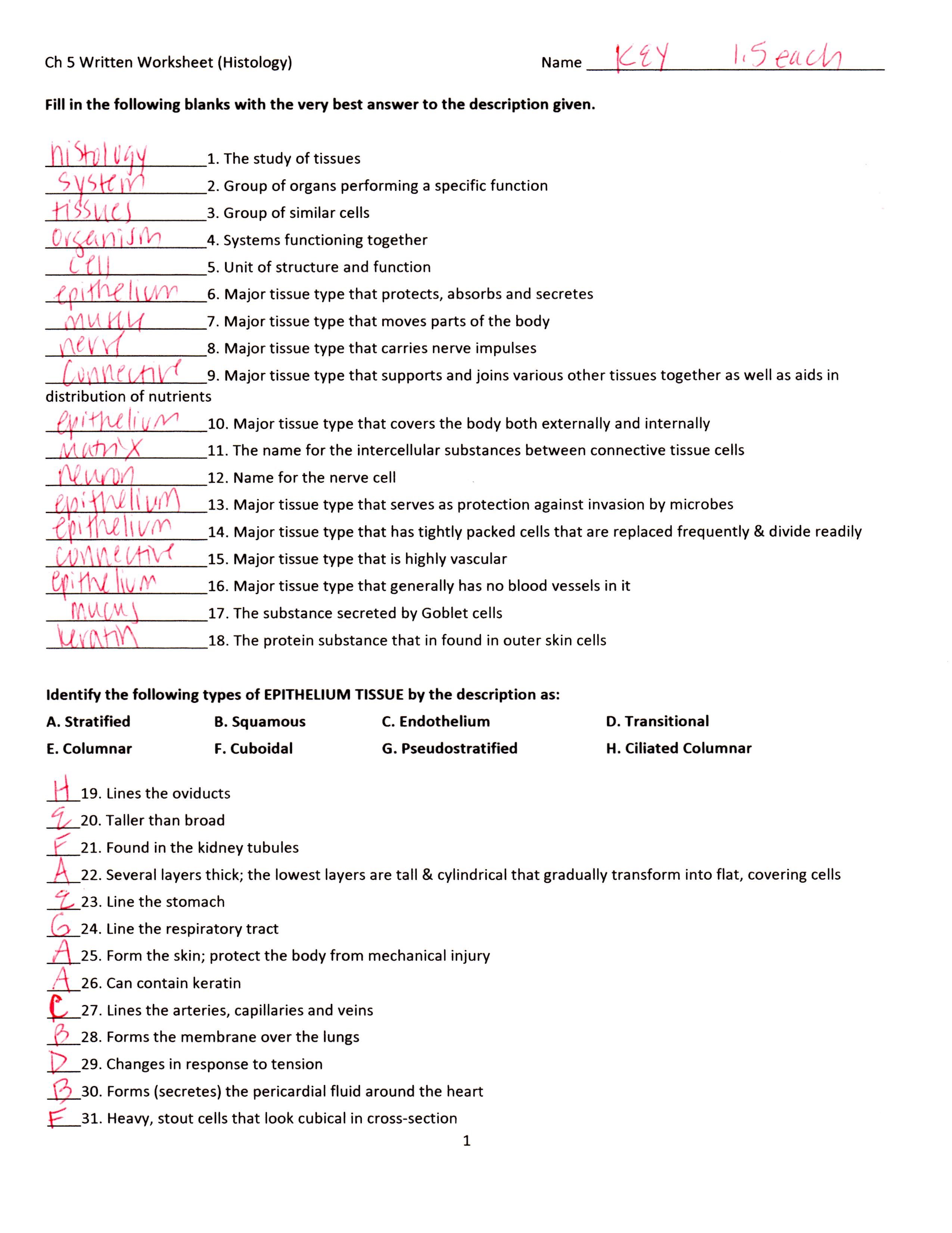 90 Printable Anatomy And Physiology Coloring Book 86