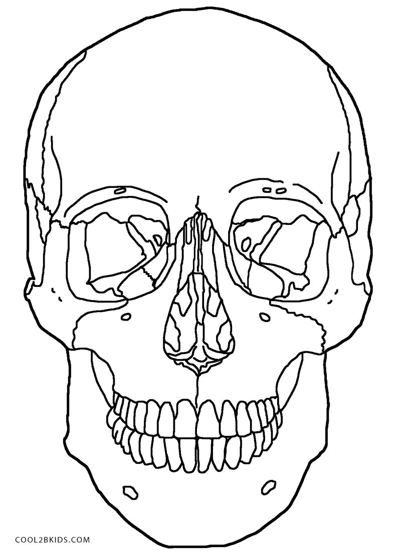 90 Printable Anatomy And Physiology Coloring Book 92