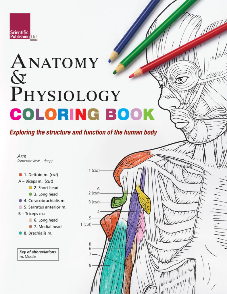 90 Printable Anatomy And Physiology Coloring Book 96