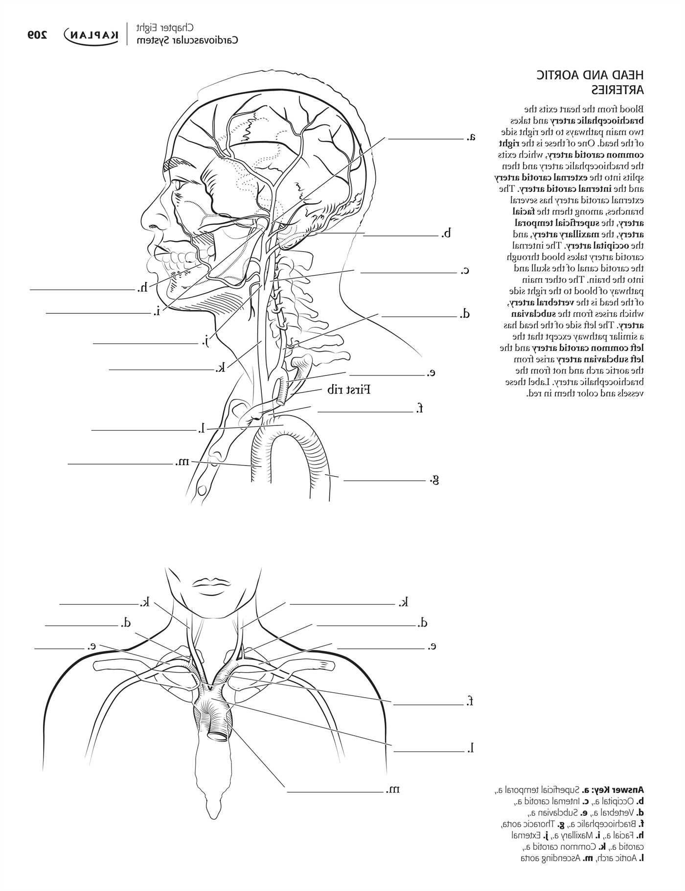 90 Printable Anatomy And Physiology Coloring Book 97