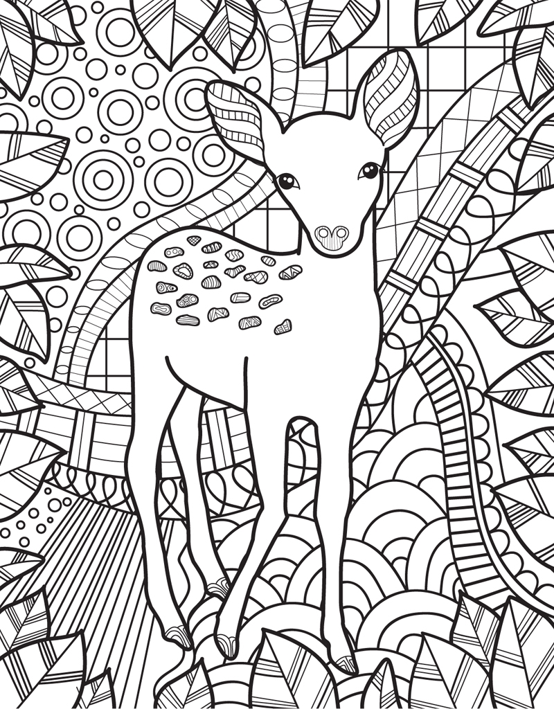 90 Printable Barnes And Noble Coloring Books For Adults 70