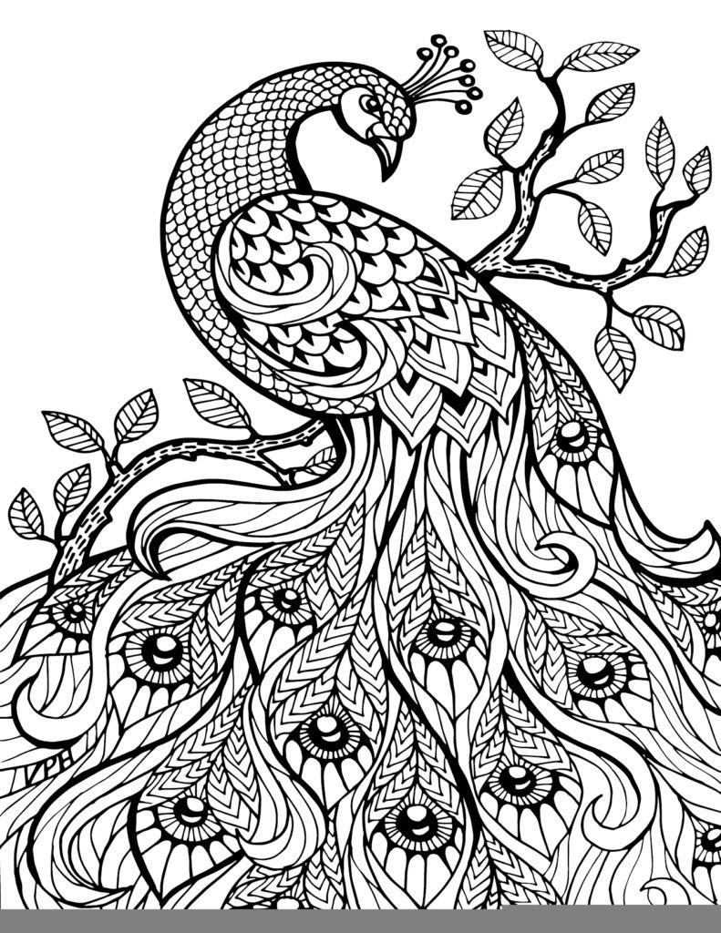 90 Printable Best Adult Coloring Book 31