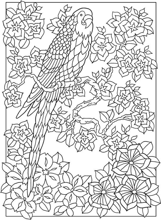 90 Printable Best Adult Coloring Book 64