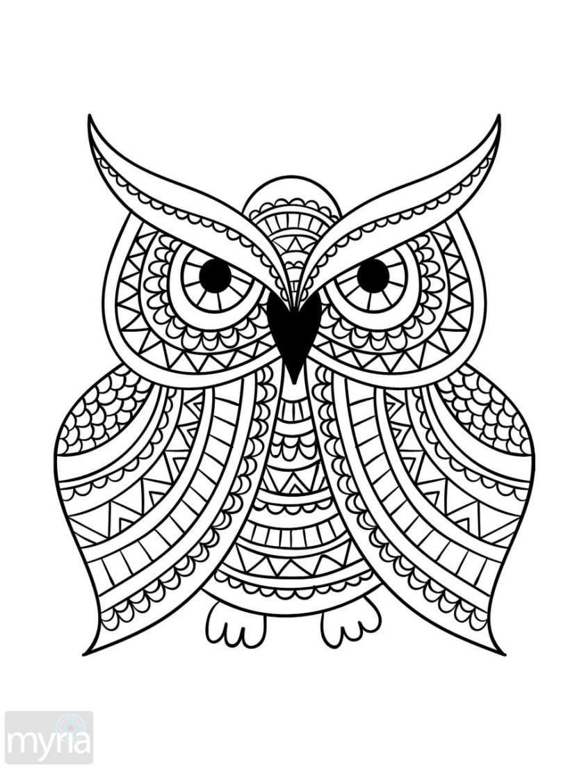 90 Printable Best Adult Coloring Book 79