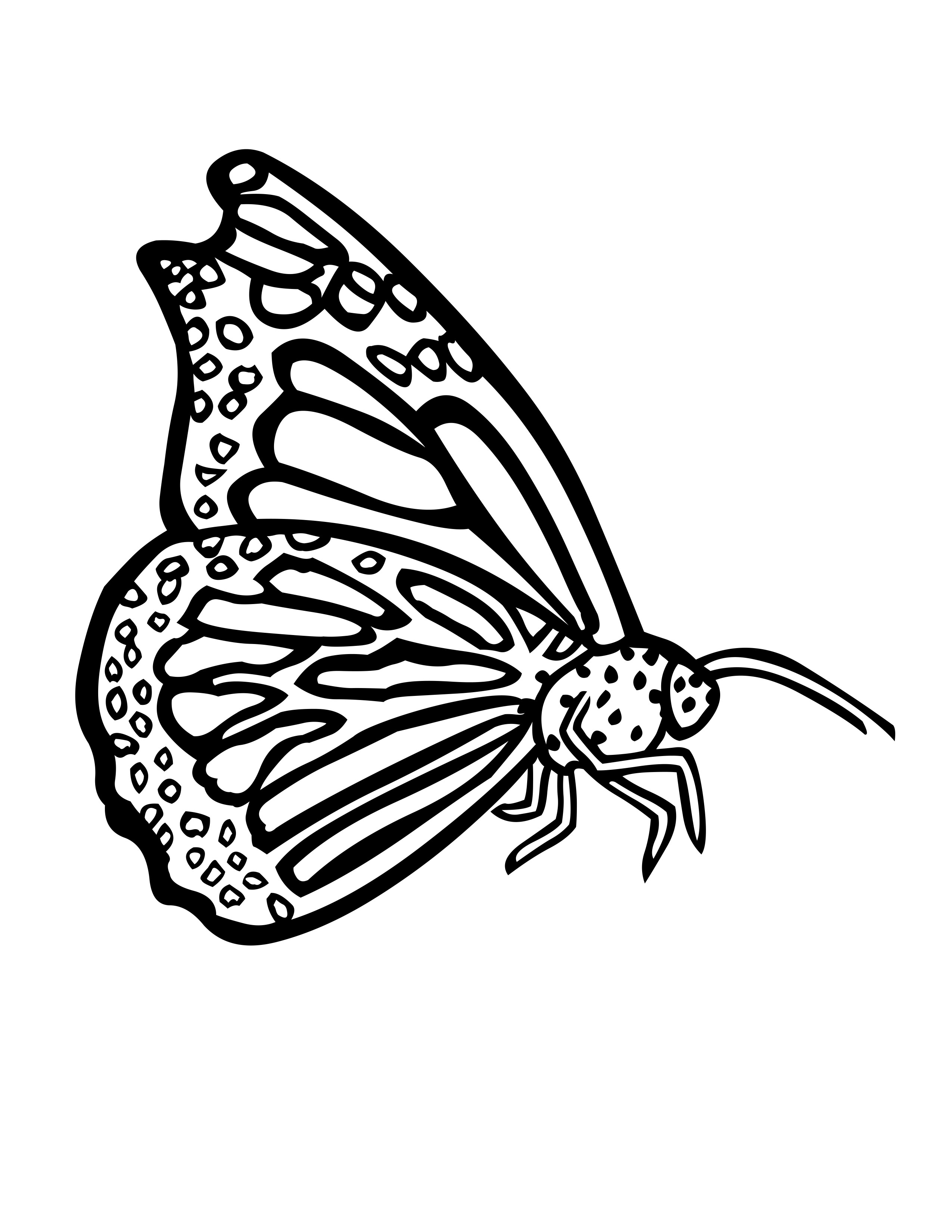 60 Printable Butterfly Coloring Book 1