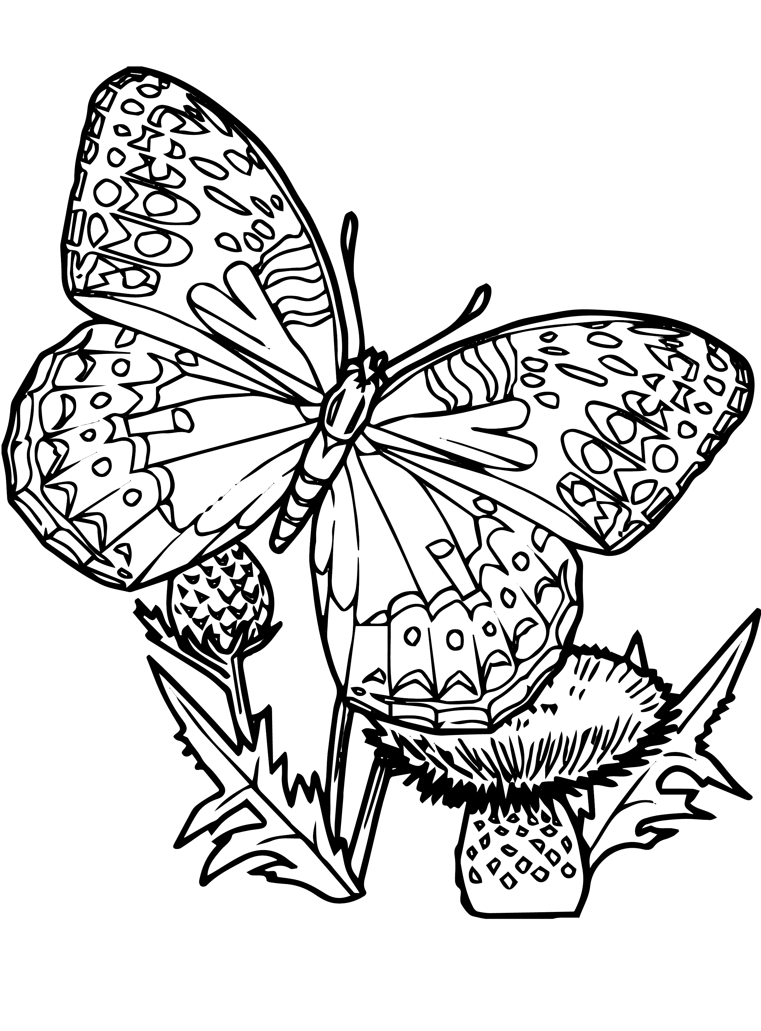 60 Printable Butterfly Coloring Book 16