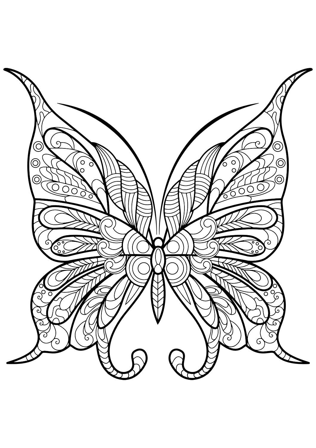 60 Printable Butterfly Coloring Book 17