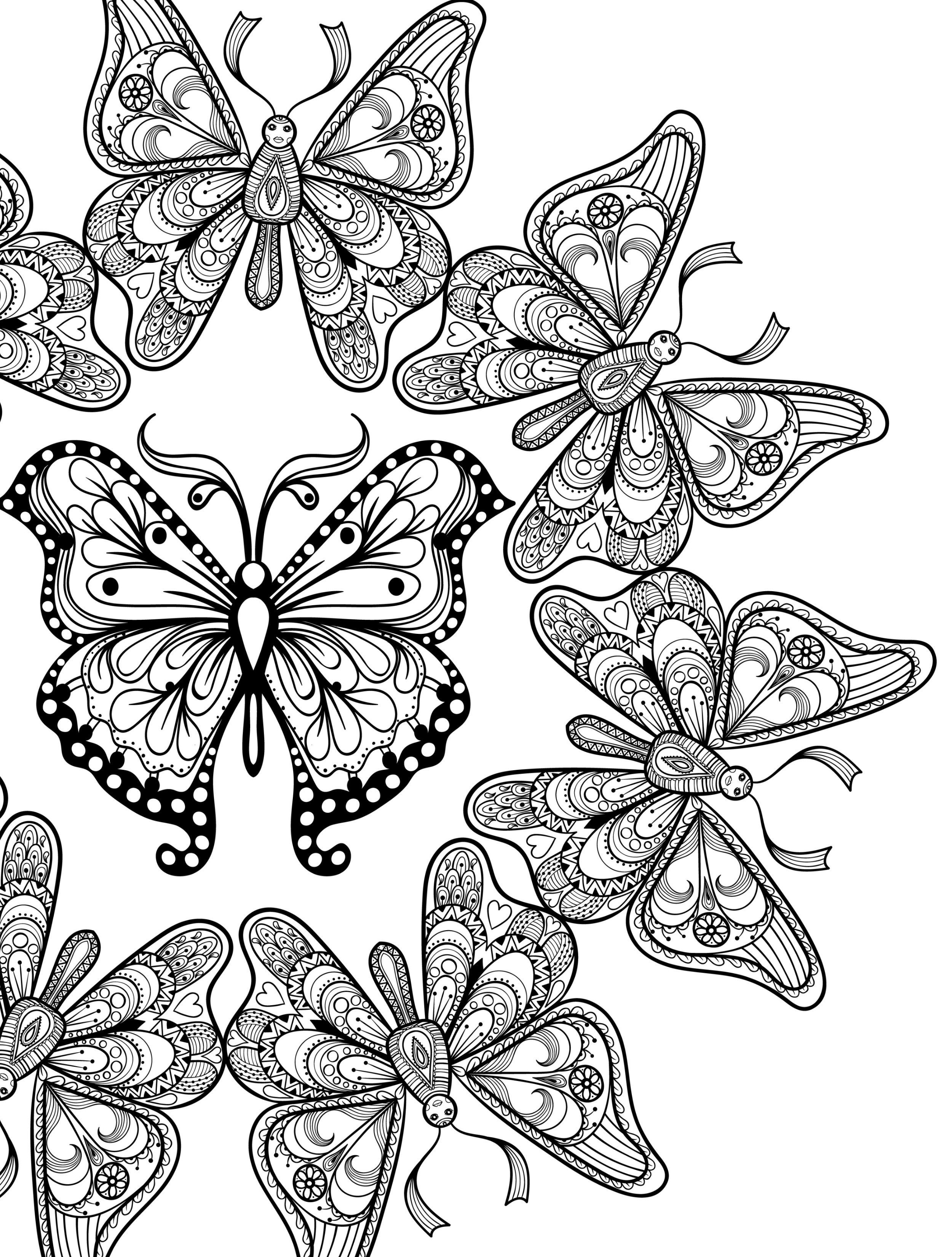 60 Printable Butterfly Coloring Book 18